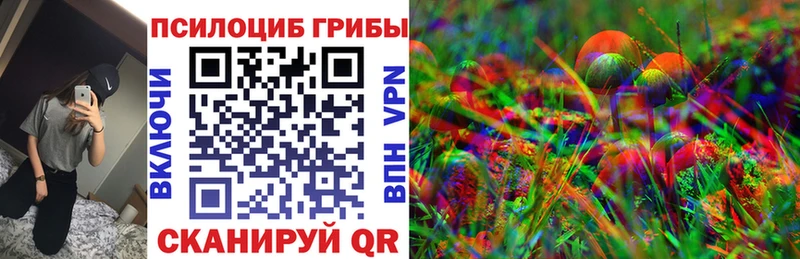 Галлюциногенные грибы Psilocybe  Карталы 